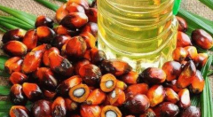 黑色系品种的大跌 棕榈油领跌农产品