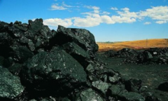 动力煤期权合约正式挂牌交易
