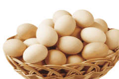 鸡蛋产量可能呈下降趋势